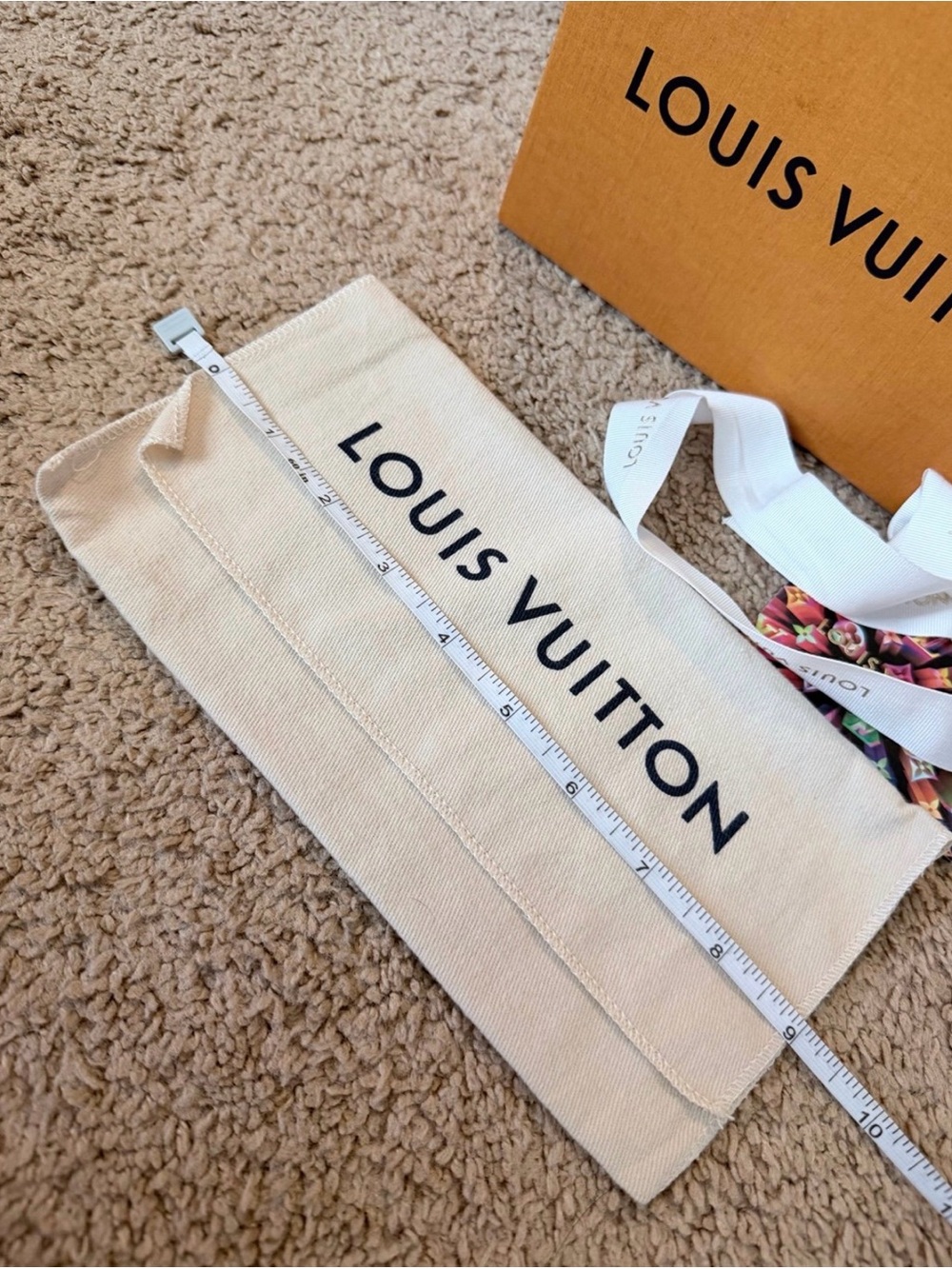 LOUIS VUITTON - Picture 10 of 12